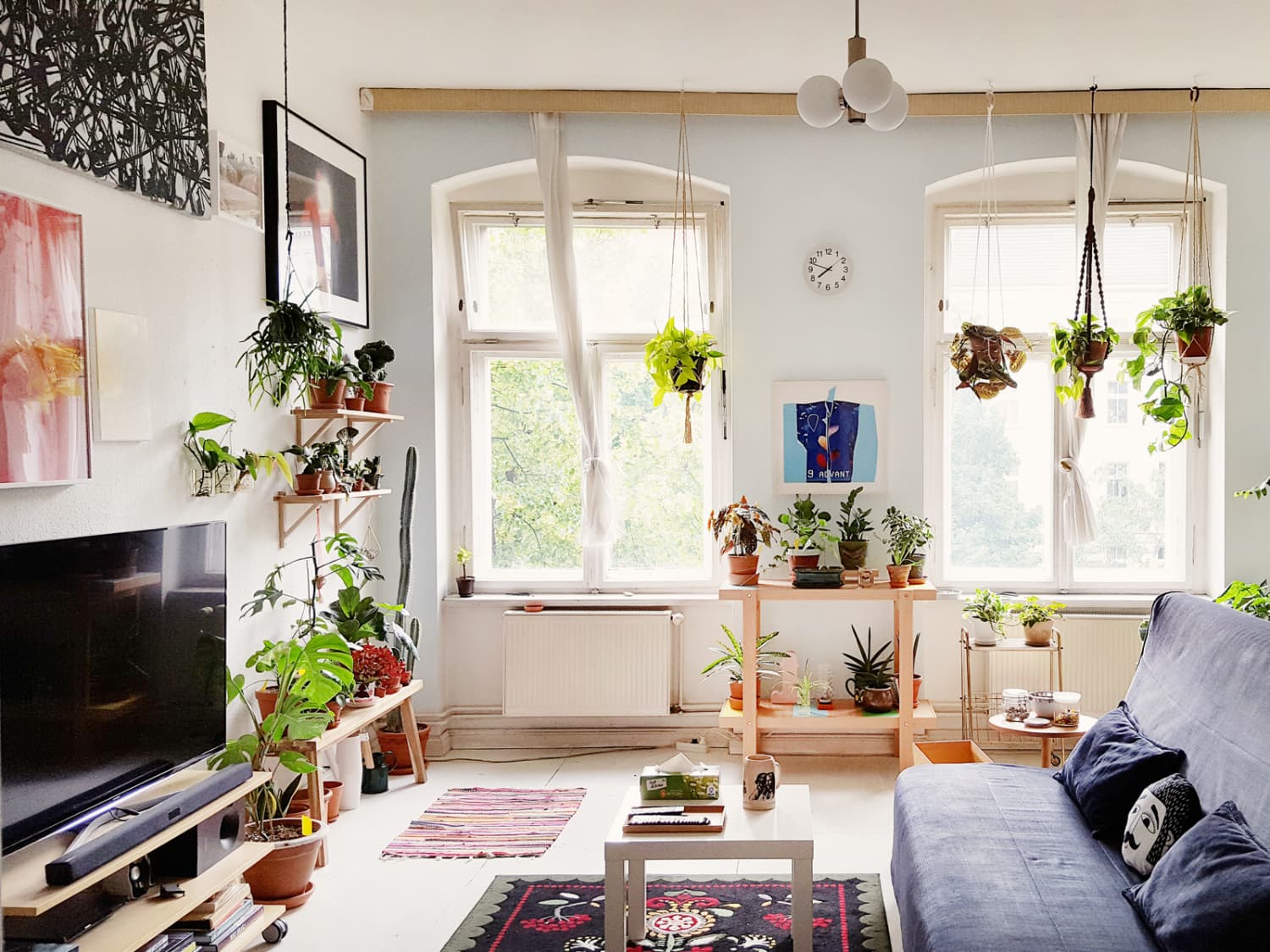 Ideal Humidity Level in House How to Control It Apartment Therapy